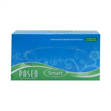 Paseo Serviettes 1Ply 100 Sheets (30cm x 30cm)