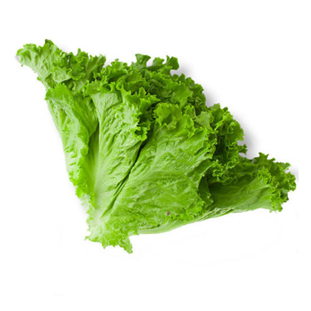 Green Lettuce 100g